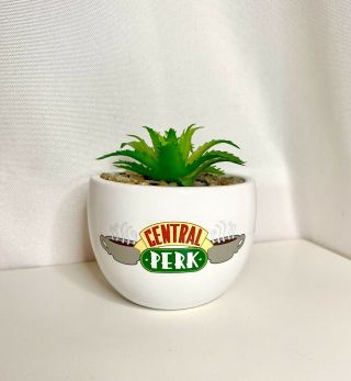 Friends Tv Show Central Perk Coffee Mug 2 Sided Succulent Planter Faux Plant