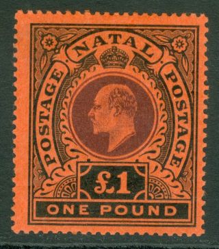 Sg 171 Natal 1908 - 09.  £1 Purple & Black/red.  Lightly Mounted Cat £425