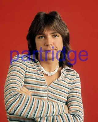 The Partridge Family 43,  David Cassidy,  8x10 Photo