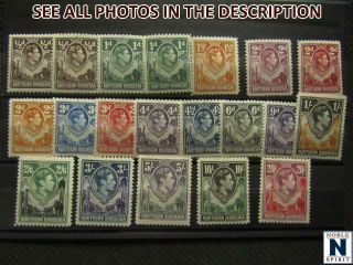Noblespirit (cw) Popular Northern Rhodesia 25 - 45 Lh = $150 Cv