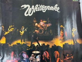 Whitesnake 1980 Debut Rare Promo Poster 21x25 David Coverdale