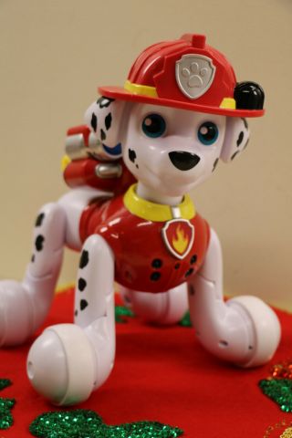Paw Patrol Marshall Interactive Zoomer 150,  Phrases Sounds Pup Dog Spin Master 2