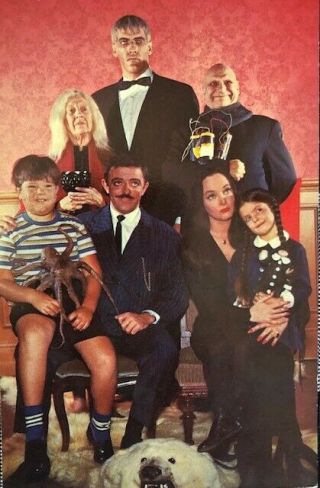 Authentic " The Addams Family " Tv Show 1964 Studio - Issued Fan Post Card