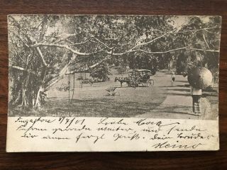 Straits Settlements Old Postcard Botanic Garden Singapore To Germany 1901