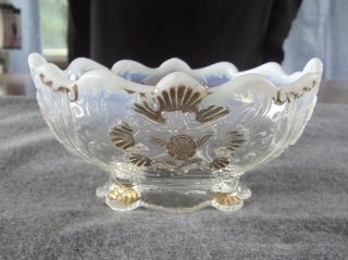 Eapg Northwood Everglades Carnelian White Opalescent Gold Oval Berry Bowl 1903