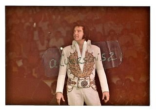 Elvis Presley Color Concert Photo - Cincinnati,  Oh - June 25,  1977