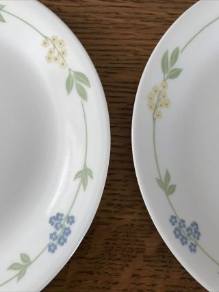 Set Of 6 Corelle Secret Garden 8 1/2” Luncheon Plates Blue Yellow Flowers