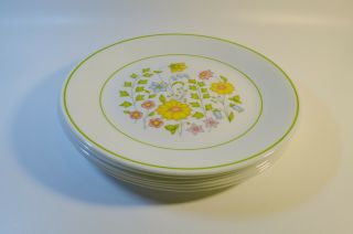 Vintage Corelle Spring Meadow 10 1/4 " Dinner Plate Set Of 6