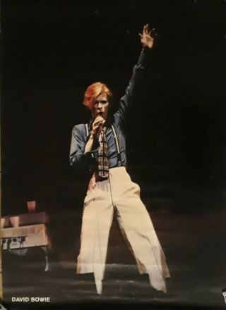 David Bowie Promo Poster - Italian Diamond Dogs David Redfern Photo 74