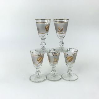 Set Of 5 Libbey Cordial Liqueur Shot Glasses Frosted Gold Leaf Stemmed Vintage