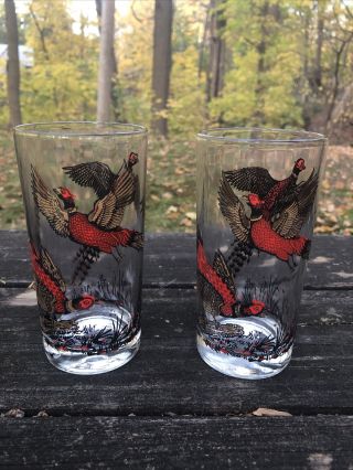 Set Of 2 Vintage Mcm Pheasant Birds Drinking Glasses Hazel Atlas? Rare