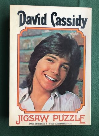 David Cassidy Puzzle Shape Keith Partridge Family Tv Get Happy