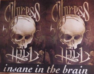 Music Poster Cypress Hill 1993 " Insane In The Brain " 30x40 " Black Sunday Skulls