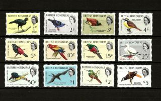 British Honduras (d90 - 2) 1962 Birds Full Set Of 12 To $5.  00 Very Fine Mm / Mh
