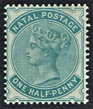 Natal Scott 65 Blue Green 1/2 Penny 1884 Queen Victoria Stamp