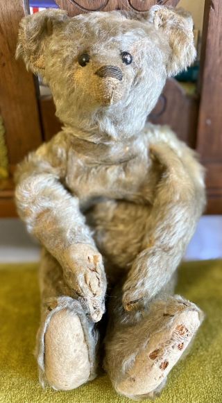 14” Antique C1907 Steiff Mohair Teddy Bear W/hump And Shoe Button Eyes