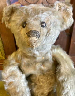 14” Antique C1907 Steiff Mohair Teddy Bear W/hump And Shoe button Eyes 5