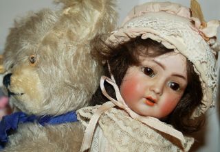 enchanting,  rare K&R Simon Halbig 117n Cabinet size bisque head doll 1910 2
