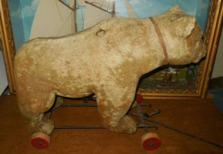 Antique Steiff Mohair Teddy Bear Pull Toy On Wheels 20x15x8 / Very Good Cond.