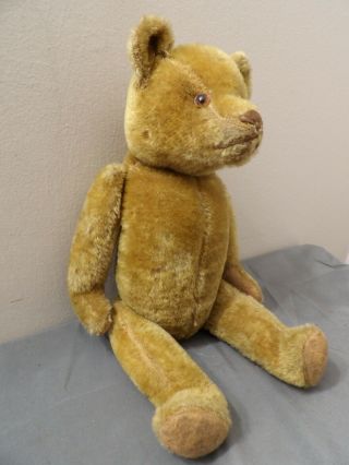 Antique Mohair Teddy Bear With Interior Bell Ideal Toy Steiff Bing Era 18 "