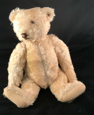 A Fine 16 Inch Steiff Cone Nose Bear In 9,  With Button (trailing F)