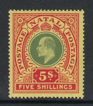Natal Edvii 1908 Sg169 5/ - Green & Red On Yellow - Wmk Ca - Unmounted