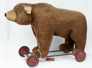 Antique Steiff Bear On Iron Wheels With Ear Button Growler & Pullstring 23 "