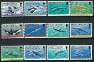 South Georgia 1994,  Whales & Dolphins - Definitive Set Of 12 Sg231/42 Mnh