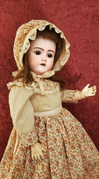Antique German Bisque Head Doll Handwerck 69 Fully Jointed Body 23 " Brown Eyes