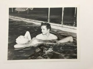 Elvis Presley 8x10 Vintage Photo Still 1719 - 86