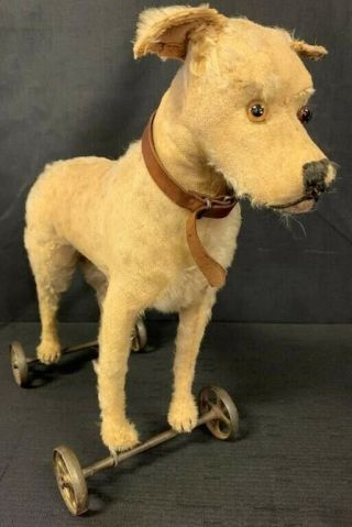 Antique Steiff Dog On Cast Iron Wheels Rare