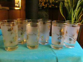 Libbey,  Usa. ,  Frosted,  Pine Cone Design,  Set Of 6 Drinking Glasses - Vgc