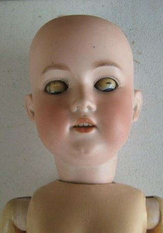 Antique German George Borgfeldt Doll Bisque Head 24 