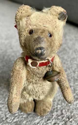 Rare Antique Early 1900s Steiff Mini 4”teddy Baby Bear Ff Button Stands With Cup