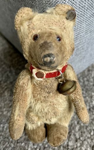 RARE ANTIQUE Early 1900s Steiff Mini 4”Teddy Baby Bear FF BUtton Stands With Cup 2