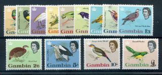 Gambia 1963 Birds Defin Set Fine Mnh