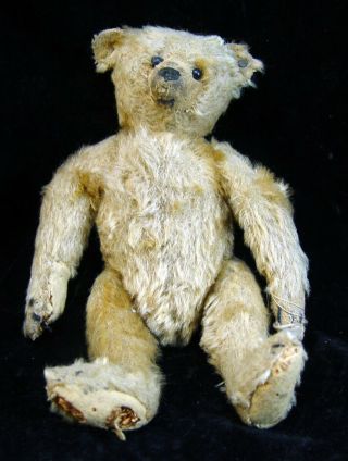 10 Inch 100 Year Old Steiff Teddy Bear 1906 To Mid 1020 