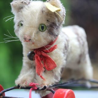 Adorable Antique Steiff Cat On Wheels W Button & Flag Top Ancien Steif