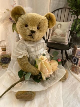 20” Precious Antique 1910s American Ideal Teddy Bear In White Dress