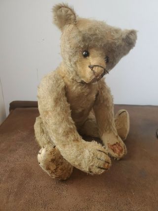 13 " Steif ? Vintage Adorable Mohair Humpback Teddy Bear Well Loved