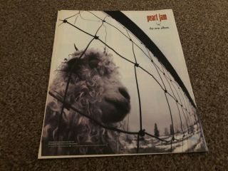 (rsm29) Advert/poster 12x10 " Pearl Jam Vs The Album