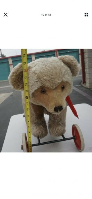 50’s Vintage Steiff Teddy Bear Riding Toy Bear On Wheels With Button In Ear