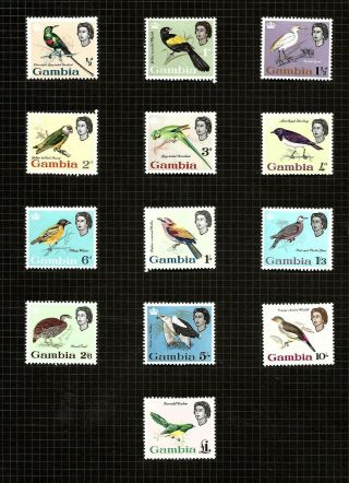 Gambia (884) 1963 Sg193 - 205 Birds Full Set Of 13 To £1.  00 - Fine Mm / Mh