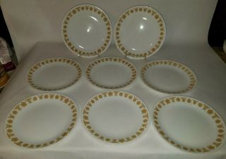 8 Vtg Corelle Golden Butterfly 8 1/2 " Luncheon Plates Exc Cond