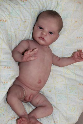 Reborn Baby Doll Atticus By Laura Lee Eagles