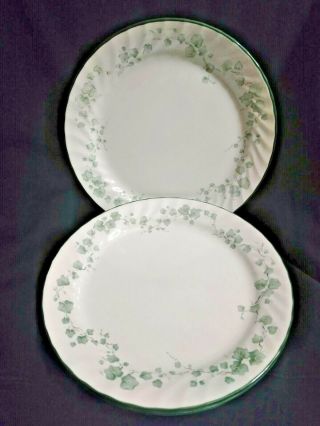 Set Of 4 Corelle Callaway Dinner Plates Swirl Rim Ivy Green Leaves 10 1/4 "