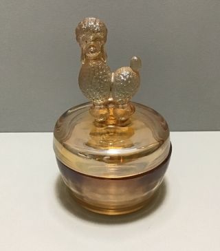 Vintage Jeanette Glass French Poodle Powder Or Trinket Box Orange Iridescent