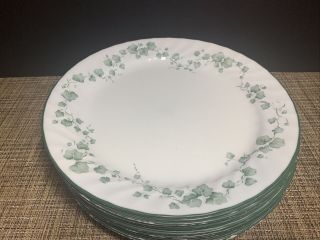 (12) Corelle By Corning Callaway Dinner Plates 10 - 1/8 " White W/ Green Ivy (pics)