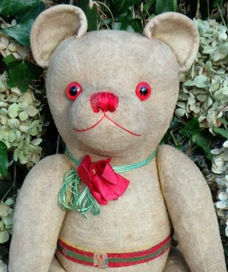 Charming & Unusual Antique 1930s French Faye Teddy Bear 20 " 4 Way Jointed