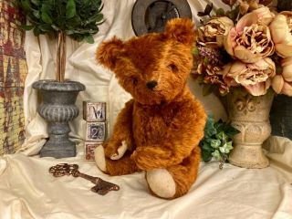 19” Antique 1920s Rare Gund Cinnamon Mohair Teddy Bear In